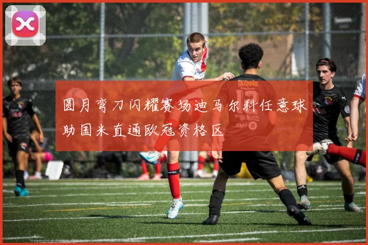 圆月弯刀闪耀赛场迪马尔科任意球助国米直通欧冠资格区