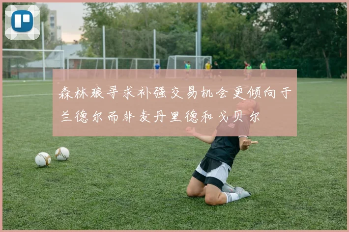森林狼寻求补强交易机会更倾向于兰德尔而非麦丹里德和戈贝尔