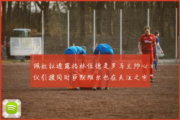 佩杜拉透露格林伍德是罗马主帅心仪引援同时萨默维尔也在关注之中